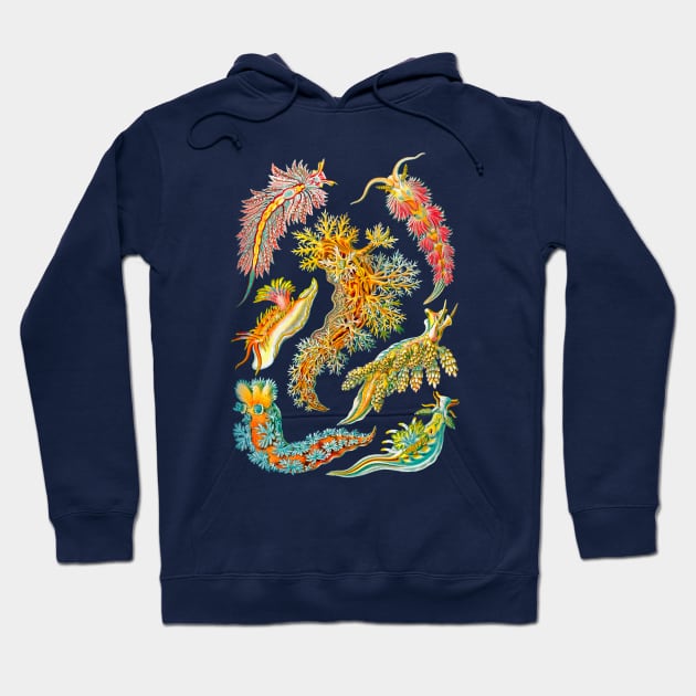 Ernst Haeckel Nudibranch Sea Slugs Hoodie by Scientistudio